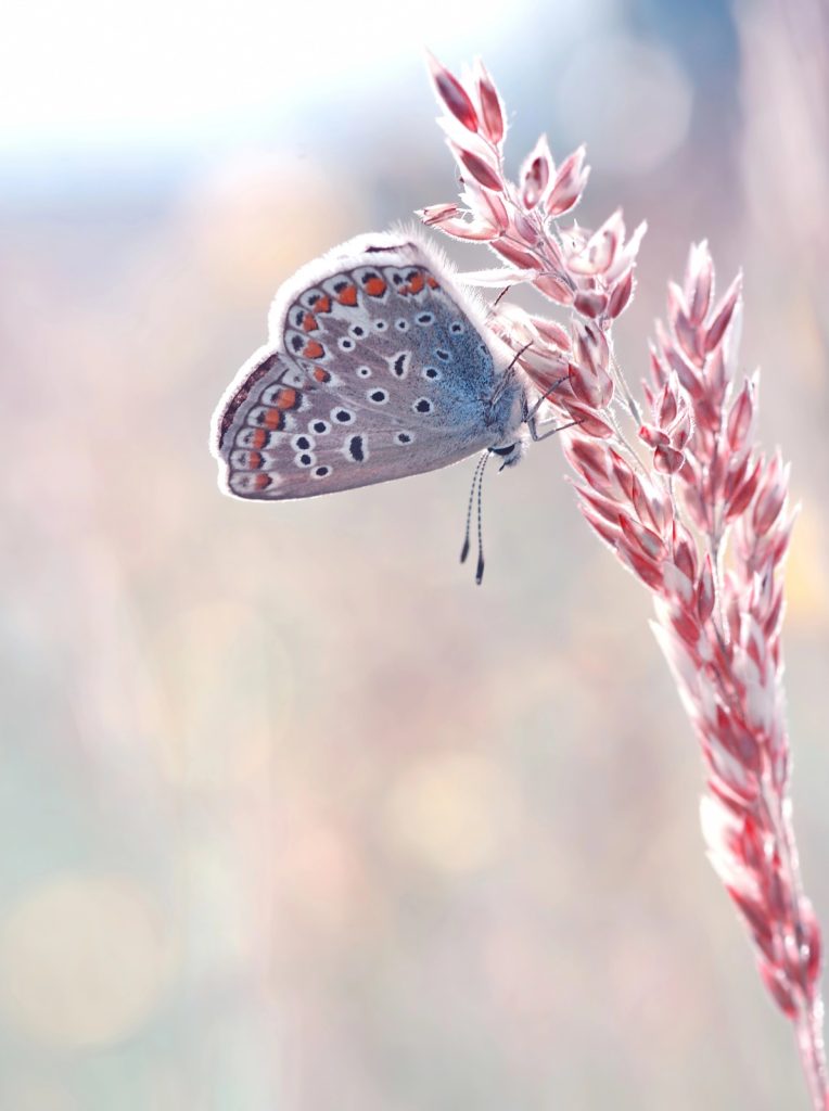 whatsapp image 2026 03 30 at 09.35.47