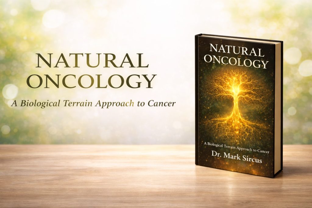 whatsapp image 2026 03 30 at 09.35.53